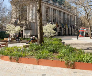 The Furnitubes Sustainability Journal - entry 1