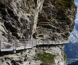 Webnet - stainless steel bridge safety mesh for fall protection - on this page