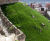 Grassfelt™ - soil-less landscaping turf for slopes and embankments 8