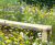 Lindum Wildflower - meadow turf with herbs and perennials 0
