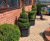 Hive Planter - recycled plastic outdoor modular planter for public spaces 3