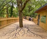 Non-Slip Decking Boardwalk At Bear Wood, Bristol Zoo - on this page