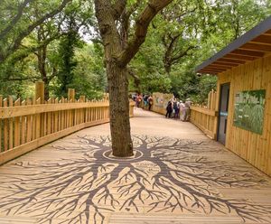 Non-Slip Decking Boardwalk At Bear Wood, Bristol Zoo