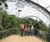 The Eden Project Uses Gripsure's Non-Slip Decking Range 1