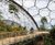 The Eden Project Uses Gripsure's Non-Slip Decking Range 2