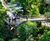 The Eden Project Uses Gripsure's Non-Slip Decking Range 0