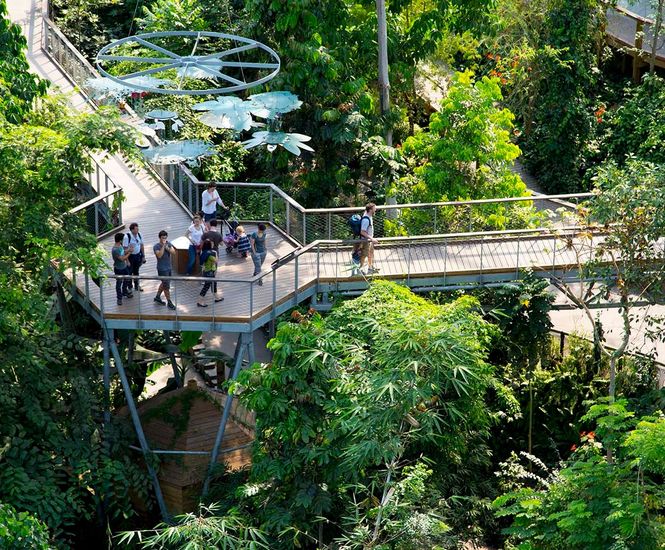 The Eden Project Uses Gripsure's Non-Slip Decking Range
