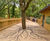 Gripsure Graphics - custom-design anti-slip timber decking 4