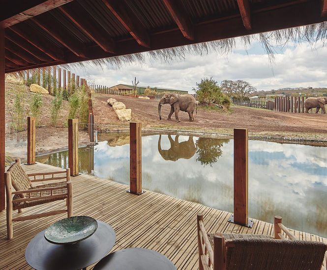 Gripsure Classic non-slip decking for safari lodges