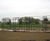 Garden Arches - steel garden arch for climbing plants and entrances 3