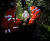 HELLOMAC - real-time rockfall and hydraulic monitoring and alert system 4