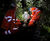 HELLOMAC Geo real-time rockfall monitoring and alerts for Network Rail 0