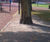 SuperCEDEC® - permeable granite and quartzite tree pit gravel (red) 0