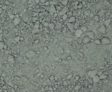 SuperCEDEC® - permeable granite and quartzite tree pit gravel (green) - on this page