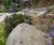 Celtic natural green stone boulders for rockeries and features 0