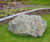 Celtic natural green stone boulders for rockeries and features 1