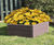 Hexagonal Planters - Traditional hexagonal planter design without a base 1