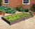 EverYear Elite Raised Beds - Stylish raised beds with heavy duty corners 5