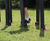 Square Stilts - recycled plastic playground balance posts for schools 2