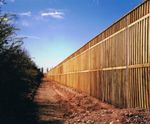 High-performance timber acoustic noise barriers