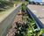 Corten and timber crash barriers for Jaguar Landrover  1
