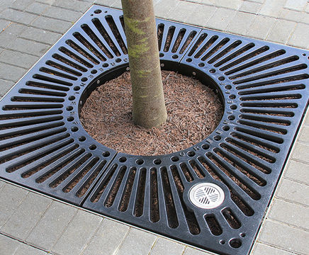Adur - square ductile iron tree surround