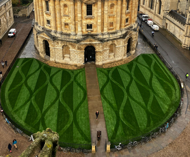Landscaping as art at Radcliffe Camera