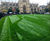 Landscaping as art at Radcliffe Camera 4