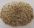 Vivid Green - spring/summer lawn turf feed 1
