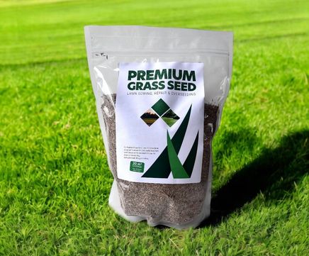 Jubilee Premium - lawn seed