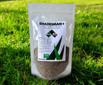 Shadesman+ - lawn seed mix for shaded areas