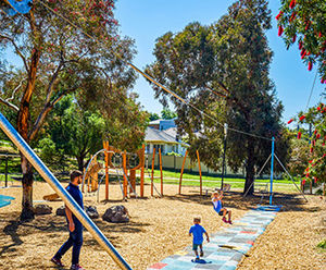 Cableway Flying Fox - metal zip line for playground level ground use