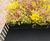 Enviromat - sedum roof trays 1