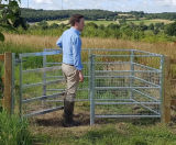 Steel pedestrian kissing gates for Public Rights of Way - on this page