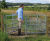 Steel pedestrian kissing gates for Public Rights of Way 0