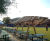 Handmade timber pergolas and arches 5