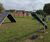 Reimagining Manor Green play area and dog park, Selsey 7