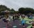 Reimagining Manor Green play area and dog park, Selsey 4