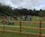 Reimagining Manor Green play area and dog park, Selsey 6