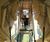Whale - large wooden playground with slide, tunnel and balance trail 3