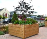 Budget timber planters - on this page