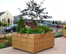 Budget timber planters