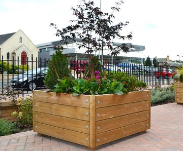 Budget timber planters