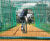 CocoTurf Cricket - 100% natural coconut fibre cricket pitch surfacing 0