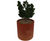 Cylindro Planter - corten steel planter for indoor and outdoor garden use 4