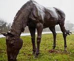 Cast Iron Lifesize Grazing Horse Statue - outdoor garden sculpture