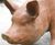 Cast Iron Standing Sow Statue - cast iron pig garden ornament 3