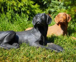 Cast Iron Lying Labrador Statue - cast iron garden dog ornament