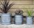 Clayfibre Chelsea Planters - box, trough & cylinder garden planters 0