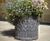 Clayfibre Moroccan Planters - box, trough & cylindrical outdoor planters 2